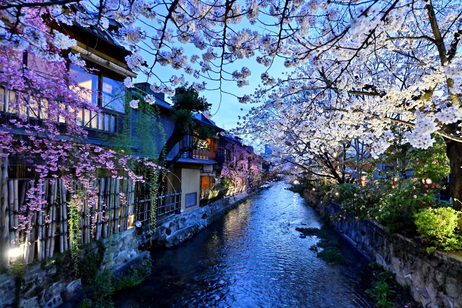 Kyoto Residence0